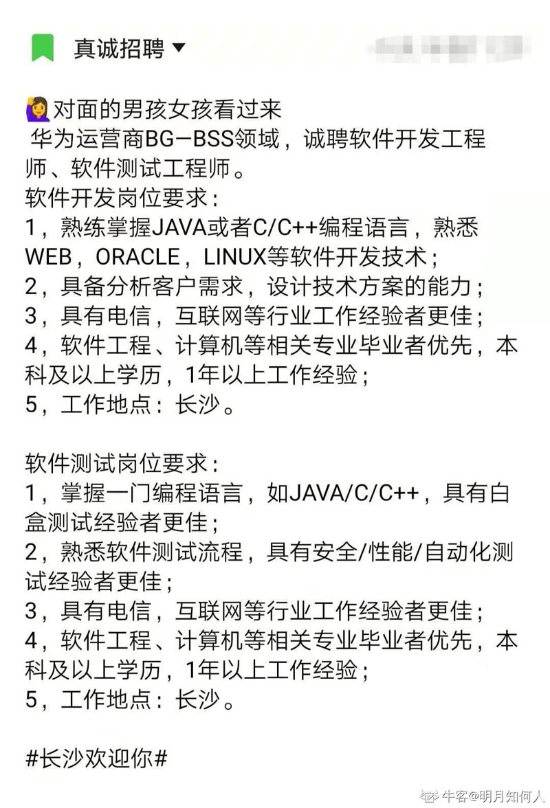 企业软件定制：助力数字转型的新引擎